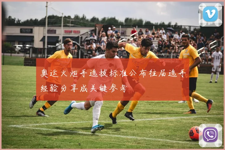 奥运火炬手选拔标准公布往届选手经验分享成关键参考