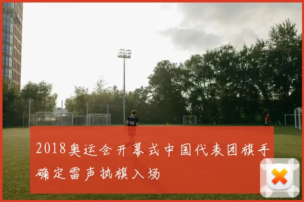 2018奥运会开幕式中国代表团旗手确定雷声执旗入场