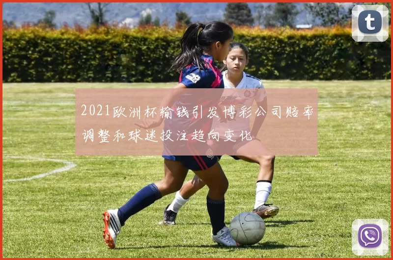 2021欧洲杯输钱引发博彩公司赔率调整和球迷投注趋向变化