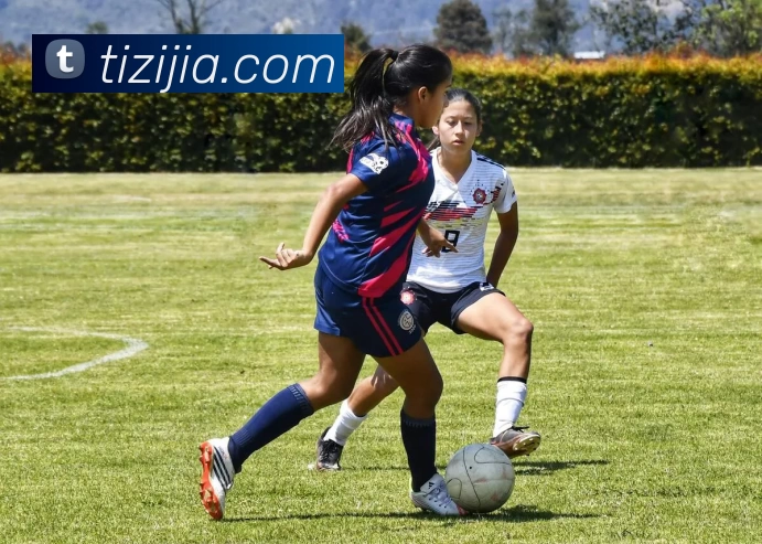 环球体育登录平台网站APP 高清赛事图